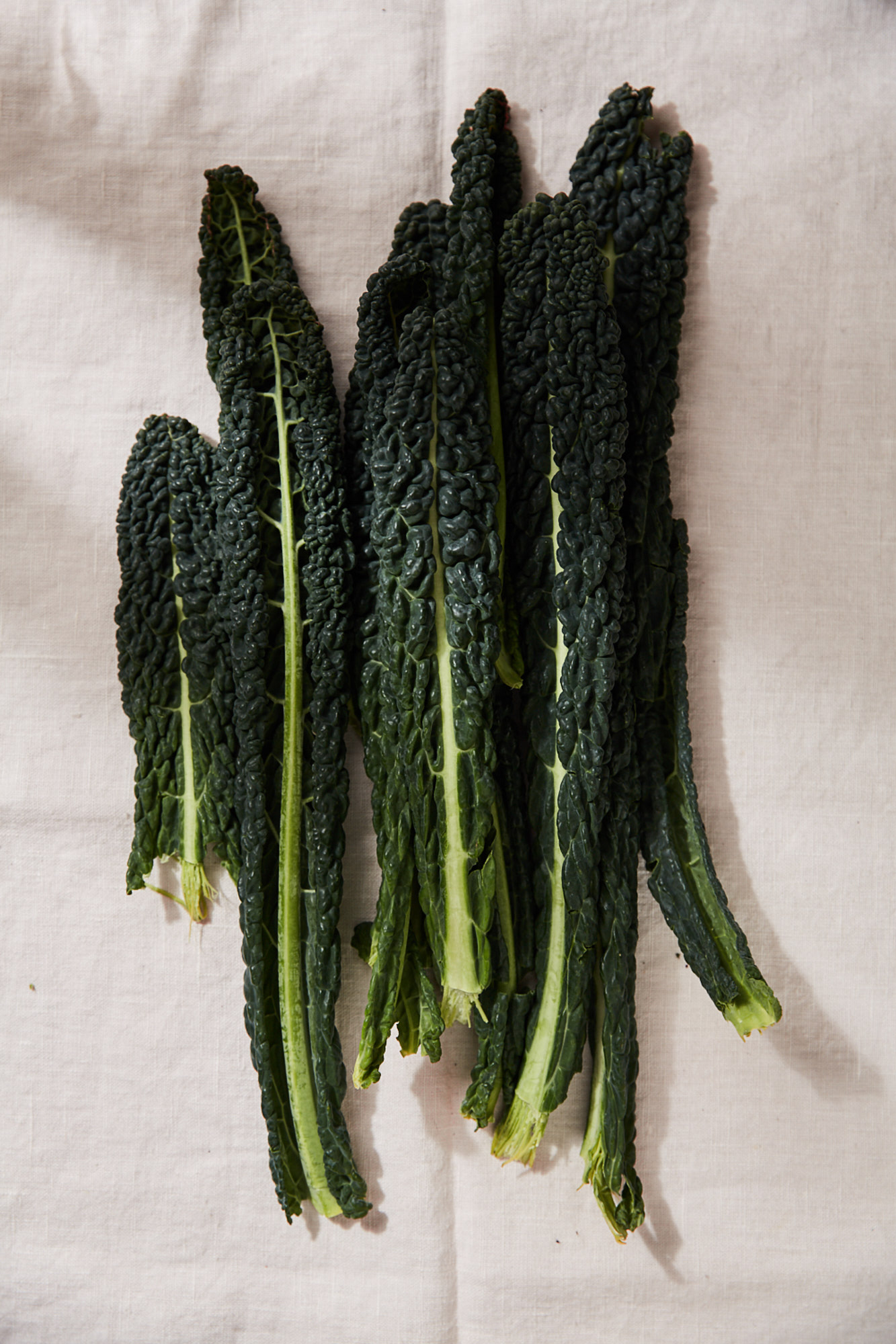 SMCLEOD_20180205_Produce_226