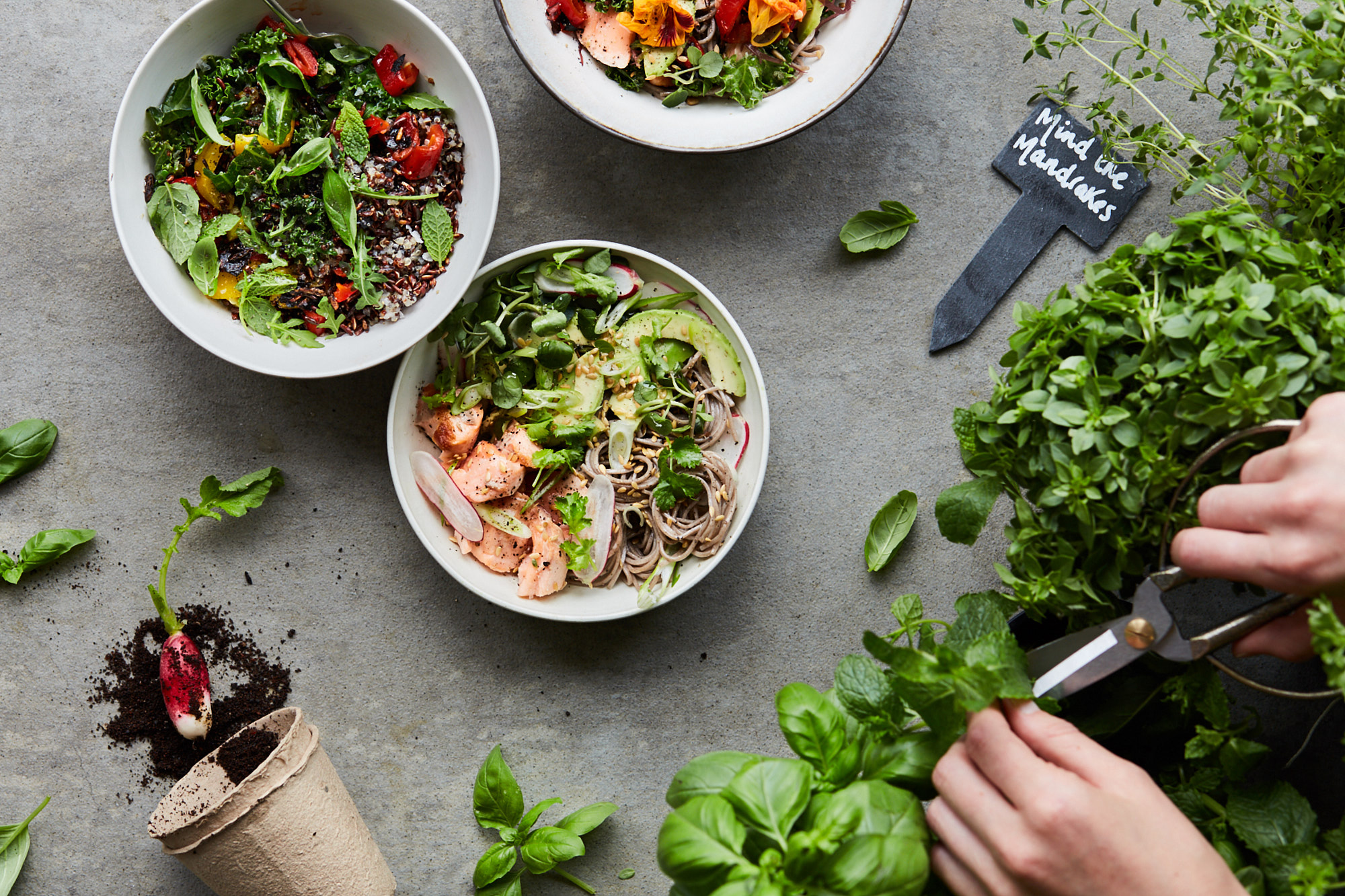 SMCLEOD_Salad_080