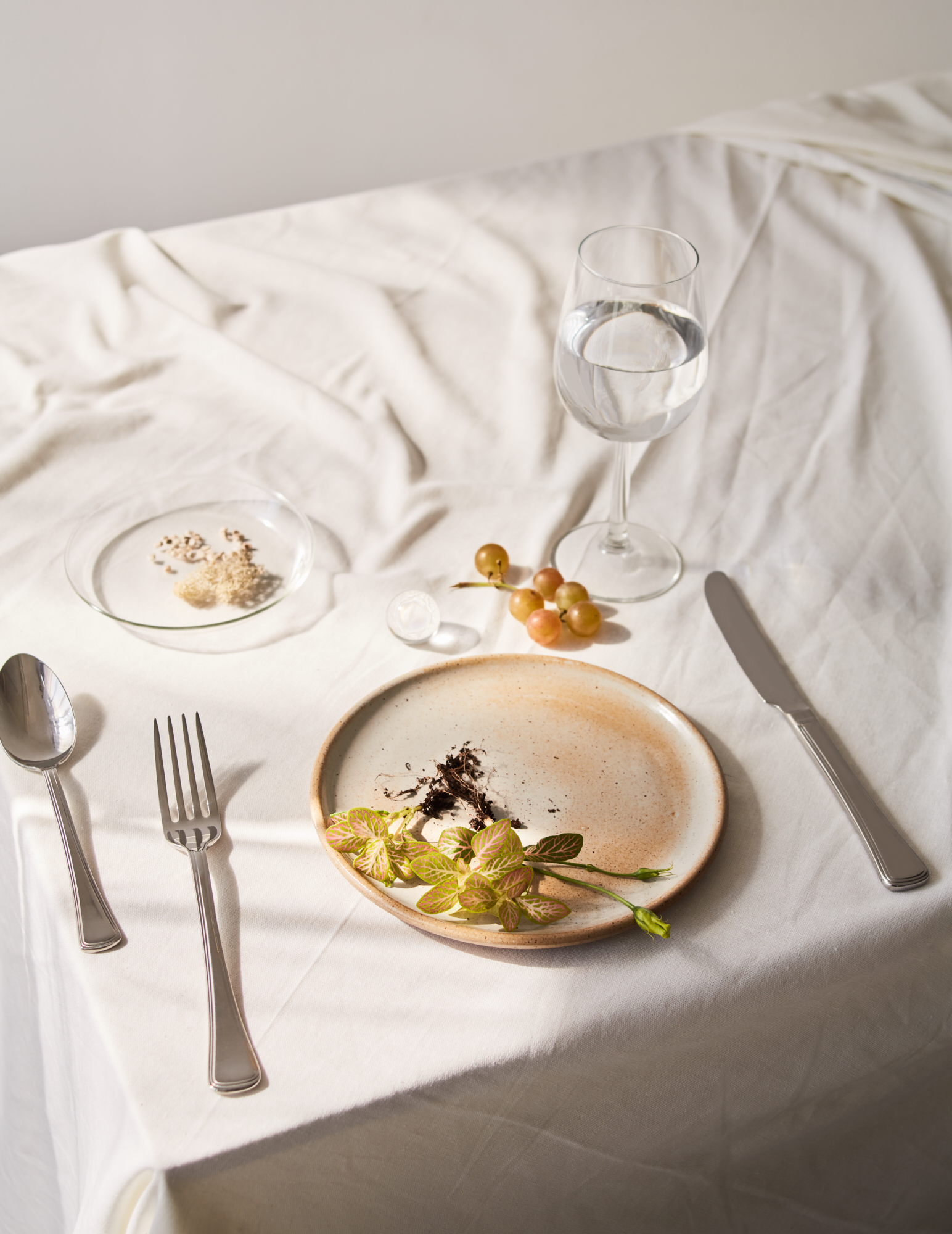 190401_Test_Plate2_033